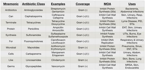 azithromycin drug class